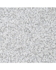 Granit Płomieniowany Szary G603 60x60x1